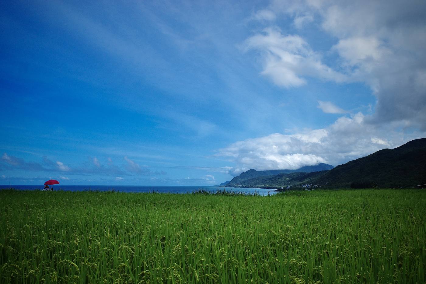 花蓮花東縱谷風景 5